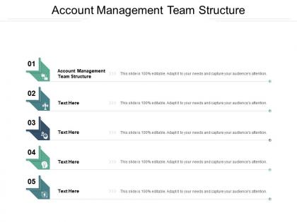 Account management team structure ppt powerpoint presentation professional ideas cpb