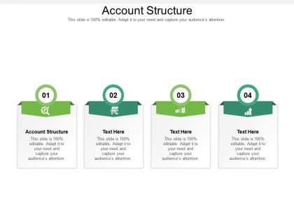 Account structure ppt powerpoint presentation show format ideas cpb