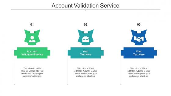 Account validation service ppt powerpoint presentation portfolio brochure cpb