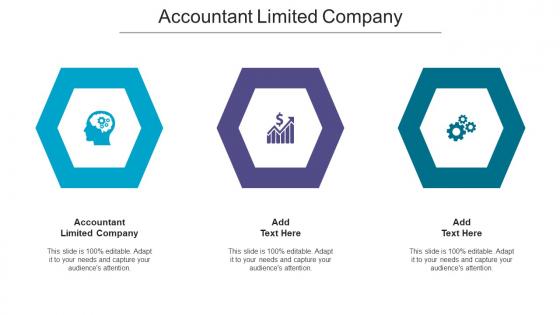 Accountant Limited Company Ppt Powerpoint Presentation Model Good Cpb