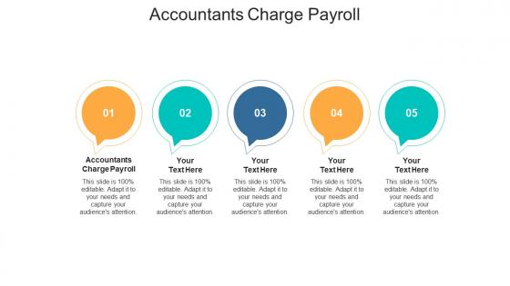 Accountants charge payroll ppt powerpoint presentation outline gallery cpb