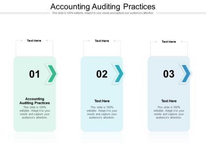 Accounting auditing practices ppt powerpoint presentation model cpb