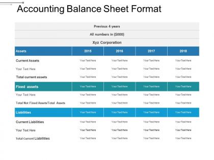 Accounting balance sheet format sample of ppt