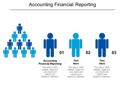 Accounting financial reporting ppt powerpoint presentation file example introduction cpb