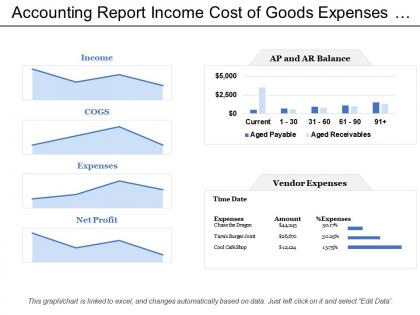 Accounting report income cost of goods expenses net profit