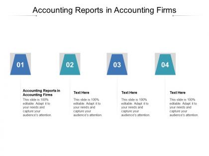 Accounting reports in accounting firms ppt powerpoint presentation summary example file cpb
