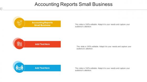 Accounting Reports Small Business Ppt Powerpoint Presentation Ideas Background Cpb