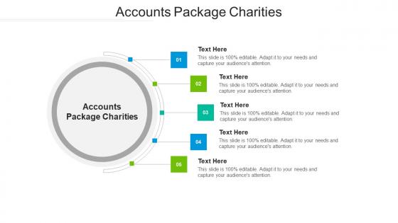 Accounts package charities ppt powerpoint presentation file show cpb