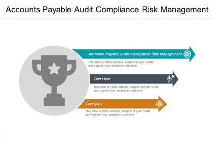 Accounts payable audit compliance risk management ppt powerpoint presentation ideas gridlines cpb