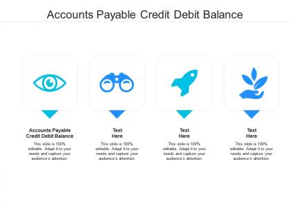 Accounts payable credit debit balance ppt powerpoint presentation layouts examples cpb