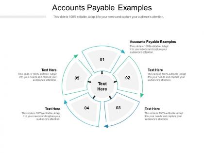 Accounts payable examples ppt powerpoint presentation ideas design templates cpb