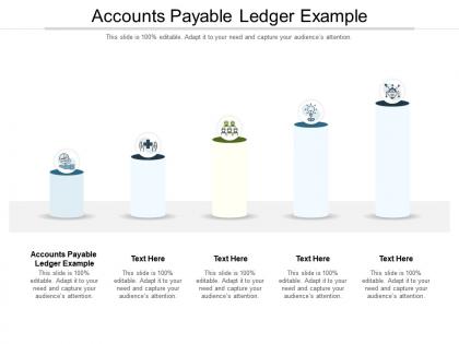 Accounts payable ledger example ppt powerpoint presentation outline information cpb