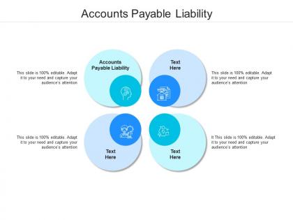 Accounts payable liability ppt powerpoint presentation show rules cpb