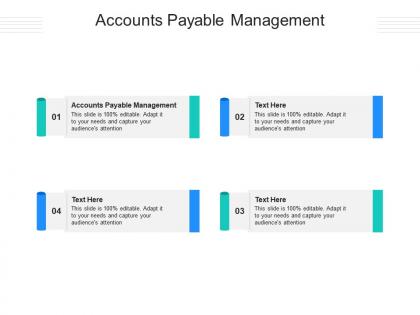 Accounts payable management ppt powerpoint presentation portfolio examples cpb