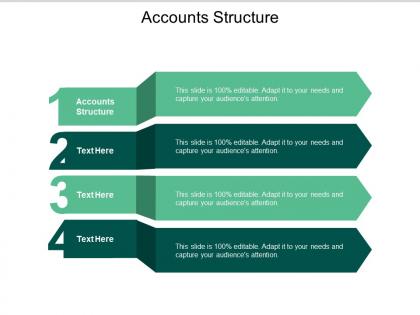 Accounts structure ppt powerpoint presentation portfolio layout cpb