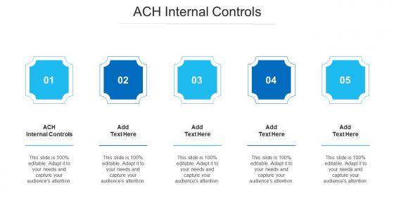 ACH Internal Controls Ppt Powerpoint Presentation Gallery Slide Portrait Cpb