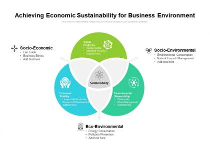 Achieving economic sustainability for business environment