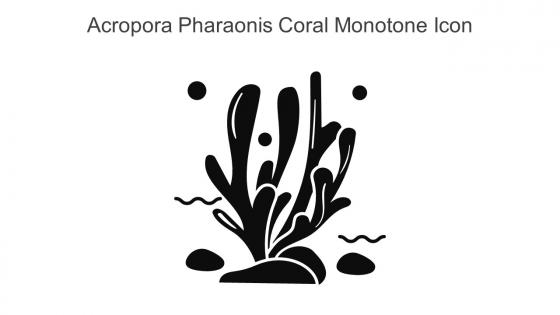 Acropora Pharaonis Coral Monotone Icon In Powerpoint Pptx Png And Editable Eps Format