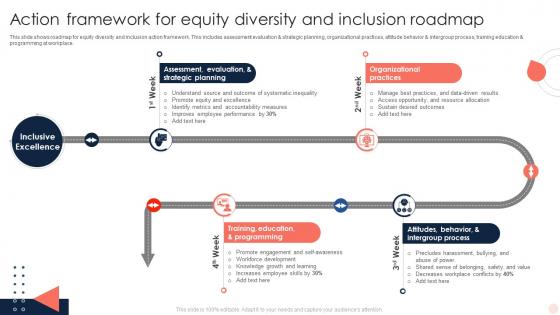 Action Framework For Equity Diversity And Inclusion Roadmap