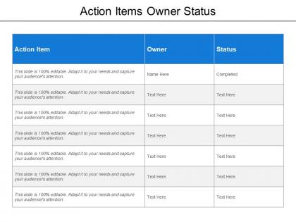 Action items owner status