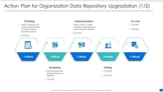 Action plan for organization data repository data storage system optimization action plan