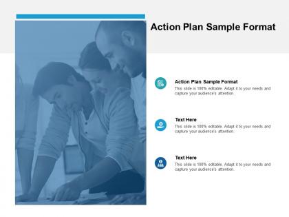 Action plan sample format ppt powerpoint presentation layouts examples cpb