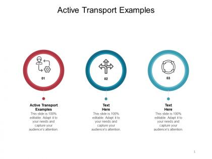 Active transport examples ppt powerpoint presentation ideas maker cpb
