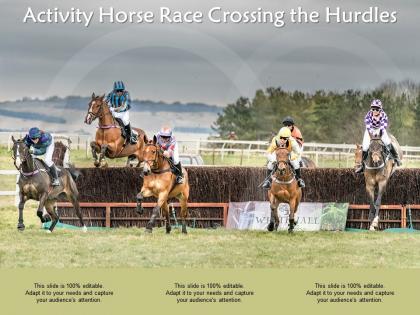 Activity horse race crossing the hurdles