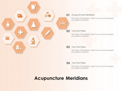 Acupuncture meridians ppt powerpoint presentation portfolio visuals