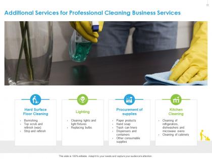 Additional services for professional cleaning business services lighting ppt layouts