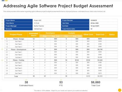 Addressing agile software project budget assessment software project cost estimation it