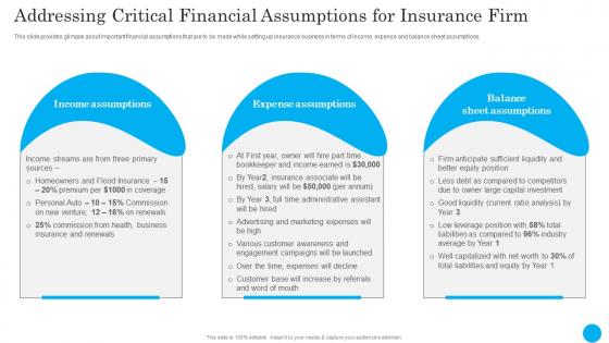 Addressing Critical Financial Insurance Agency Financial Plan