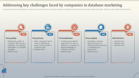 Addressing Key Challenges Faced By Companies Database Marketing Strategies MKT SS V