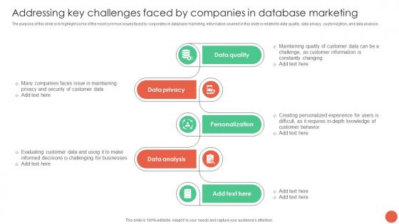 Addressing Key Challenges Faced By Companies In Database Marketing Techniques MKT SS V