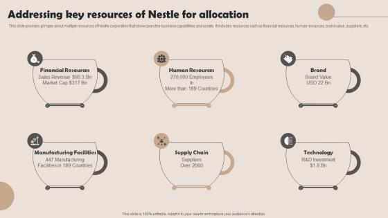 Addressing Key Resources Of Nestle For Allocation Nestle Management Strategies Overview Strategy SS V
