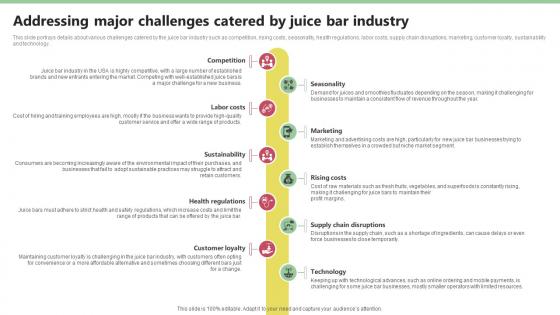 Addressing Major Challenges Catered By Juice Nekter Juice And Shakes Bar Business Plan Sample BP SS