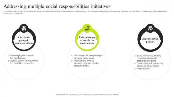 Addressing Multiple Social Responsibilities Initiatives Minimizing Resistance Strategy SS V