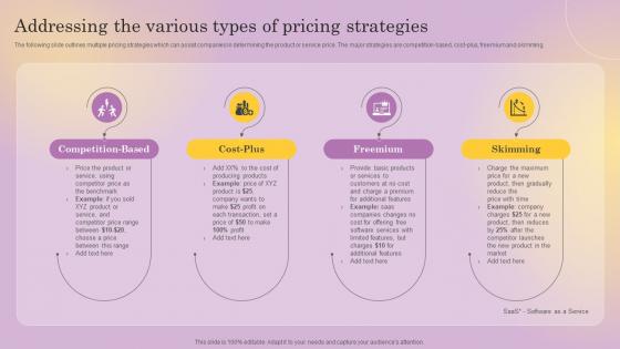 Addressing The Various Types Of Pricing Strategies Distinguishing Business From Market