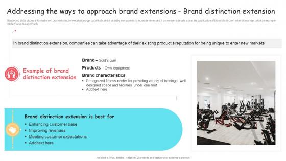 Addressing The Ways To Approach Brand Extension And Positioning Guide Ppt Icons