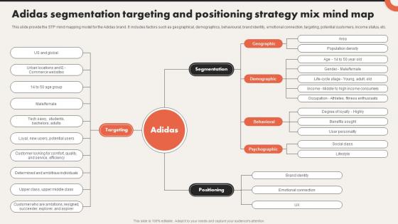 Adidas Segmentation Targeting And Positioning Strategy Critical Evaluation Of Adidas Strategy SS