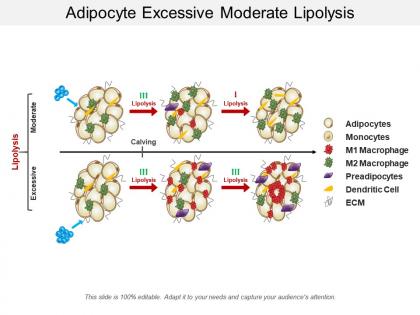 Adipocyte excessive moderate lipolysis