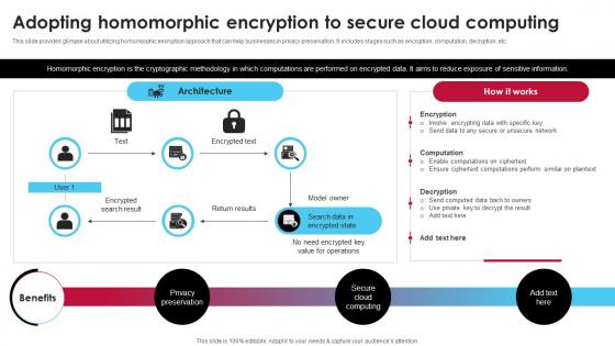 Adopting Homomorphic Encryption To Secure Cloud Ai Driven Digital Transformation Planning DT SS