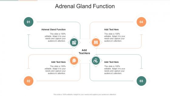 Adrenal Gland Function In Powerpoint And Google Slides Cpb