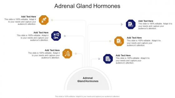 Adrenal Gland Hormones In Powerpoint And Google Slides Cpb
