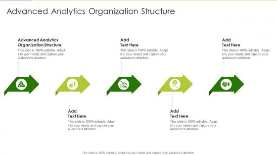 Advanced Analytics Organization Structure In Powerpoint And Google Slides Cpb