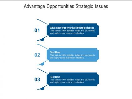 Advantage opportunities strategic issues ppt powerpoint presentation gallery templates cpb