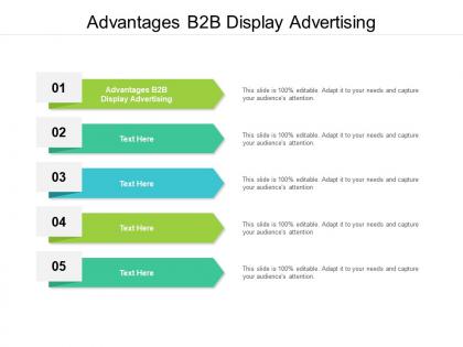 Advantages b2b display advertising ppt powerpoint presentation infographics portfolio cpb