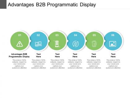 Advantages b2b programmatic display ppt powerpoint presentation ideas layout ideas cpb