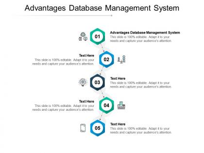Advantages database management system ppt powerpoint presentation ideas gallery cpb