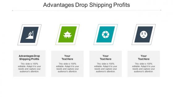 Advantages drop shipping profits ppt powerpoint presentation slides examples cpb